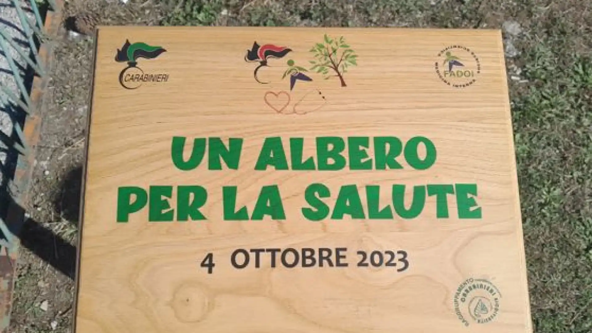 Isernia: “Un albero per la salute”. Questa mattina la cerimonia all’esterno dell’ospedale Veneziale.